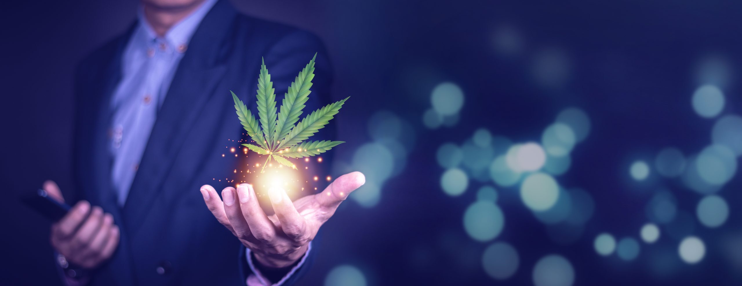The businessman saw an opportunity to bring cannabis as a busine