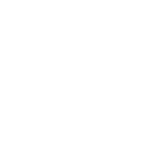 logotipo.logo-BRANCO@300x-1024x1024-1